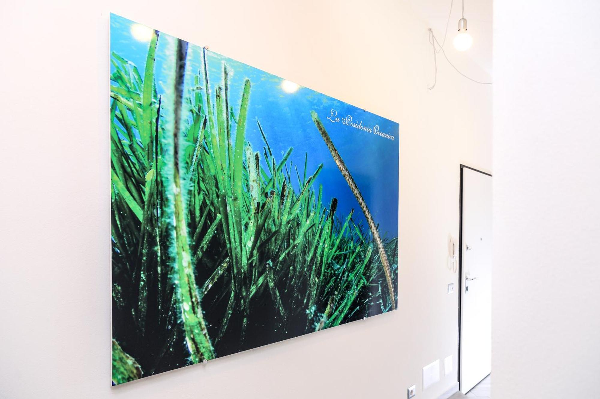 La Posidonia Oceanica Bed and Breakfast Αλγκέρο Εξωτερικό φωτογραφία